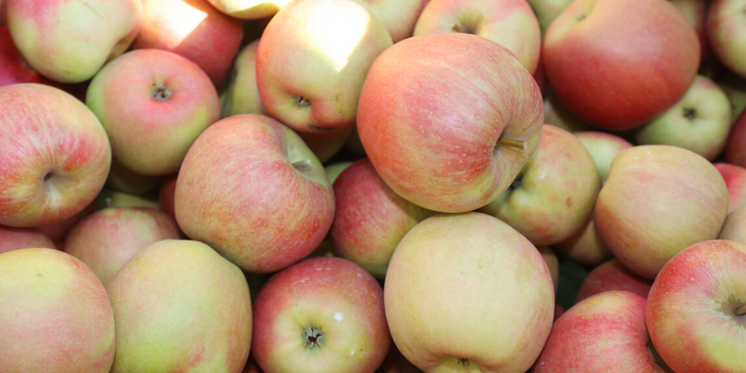 Как выбрать сочные и вкусные яблоки в магазине