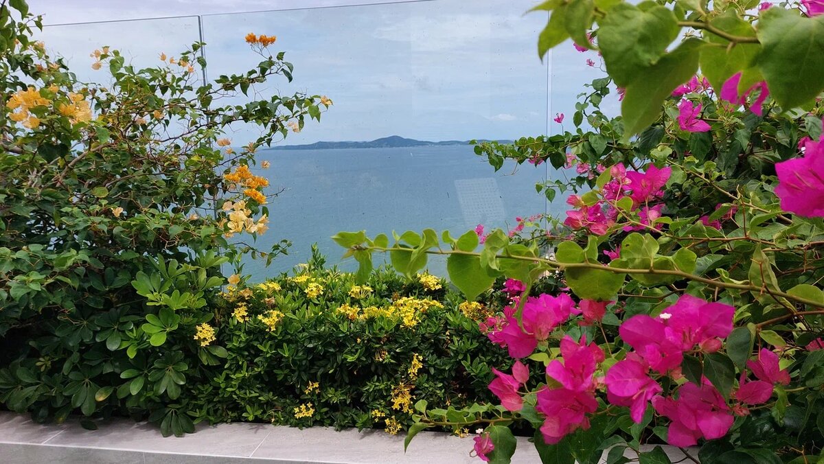 Фото автора. Вид с Copacabana на Ко Лан