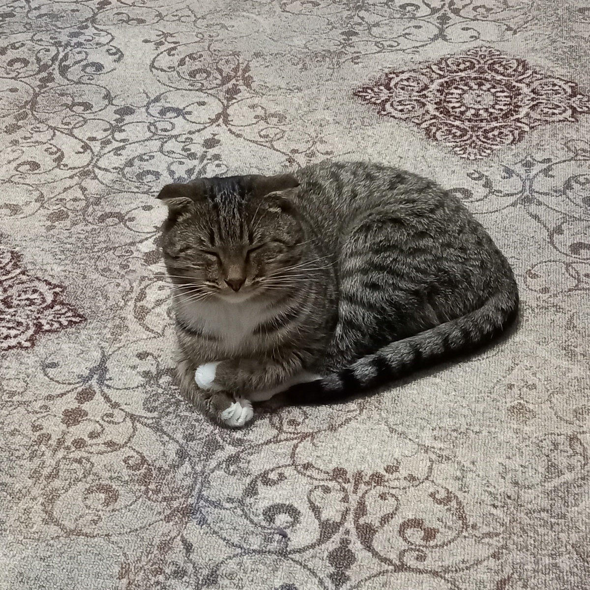 Кузю разморило