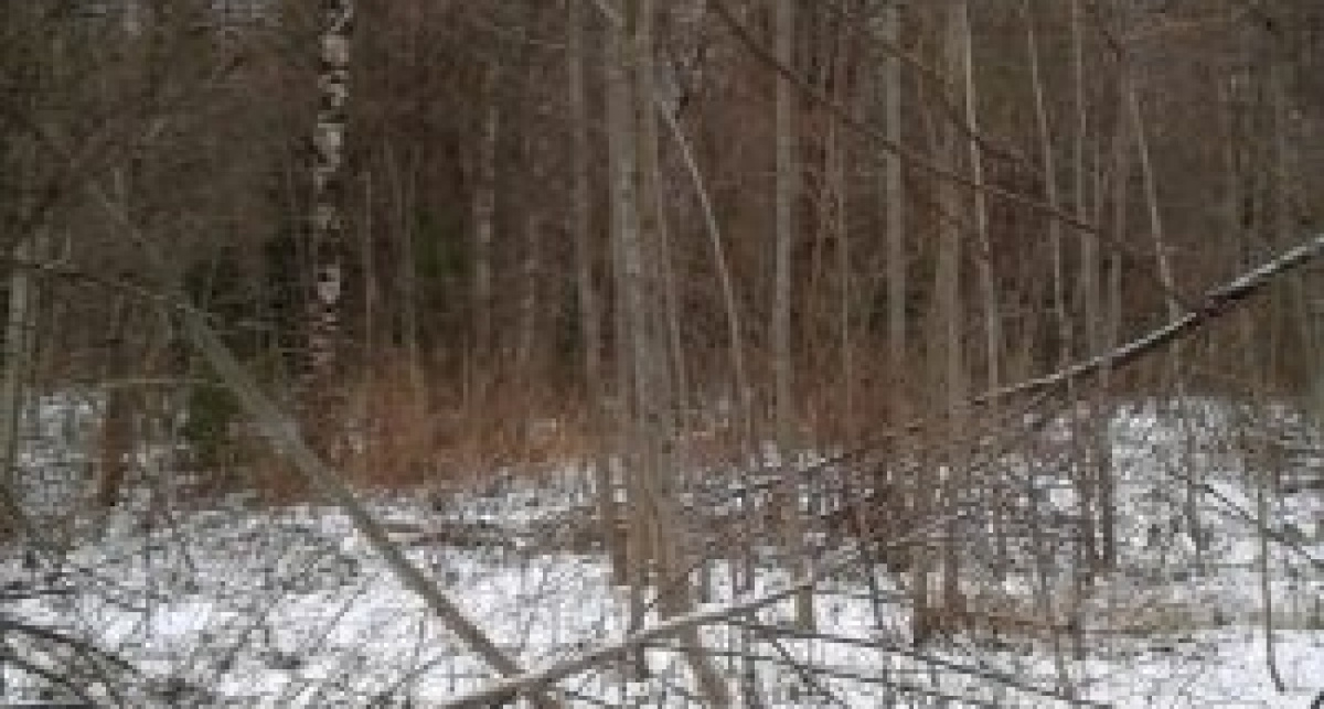    Россельхознадзор