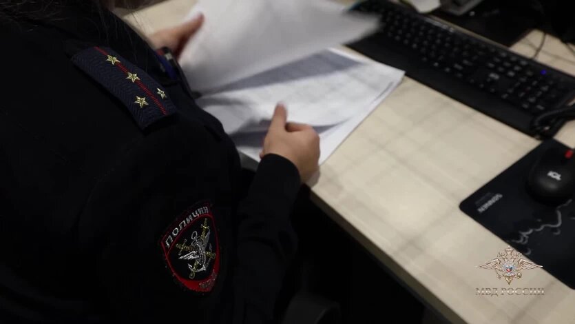 Фото: Официальный представитель МВД России Ирина Волк