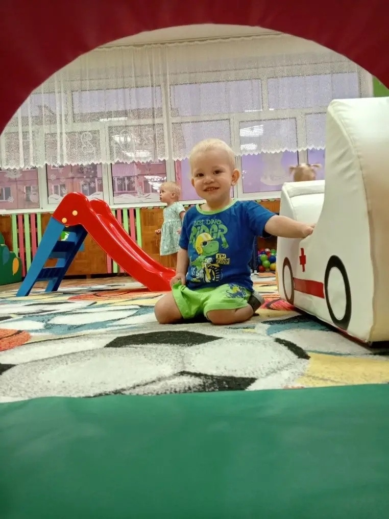 Из сада фото