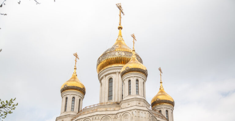    фото: Общественная служба новостей Мария Михайловская