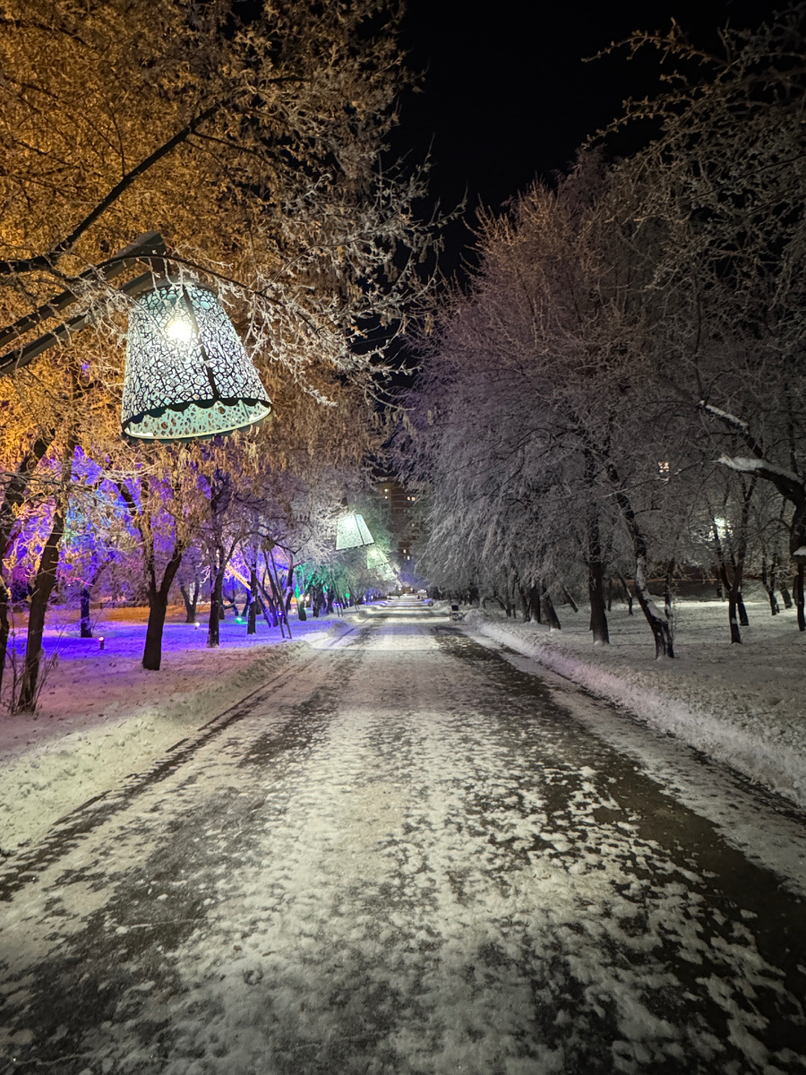 Вероника Васильева