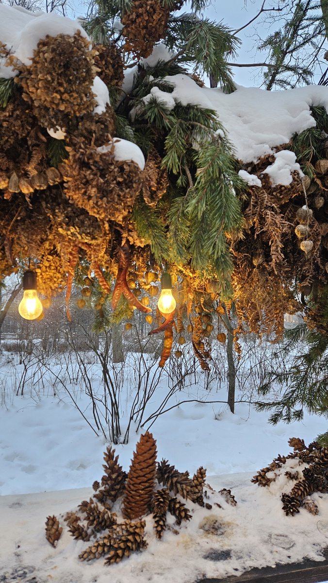 Кафе на Елагином острове (фотография автора)