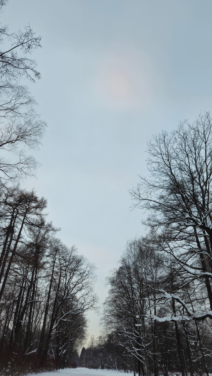 Елагин остров (фотография автора)