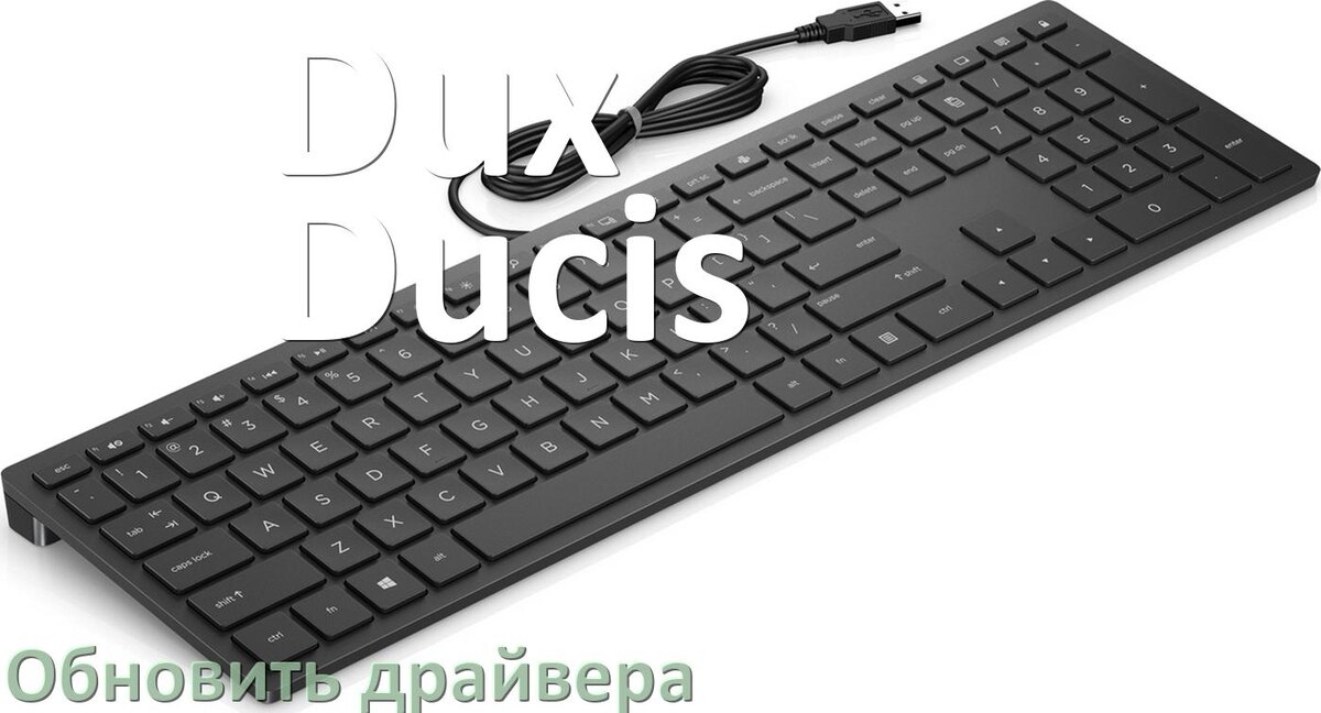
Как обновить драйвер клавиатуры Dux Ducis и установить в Windows 10 и 11