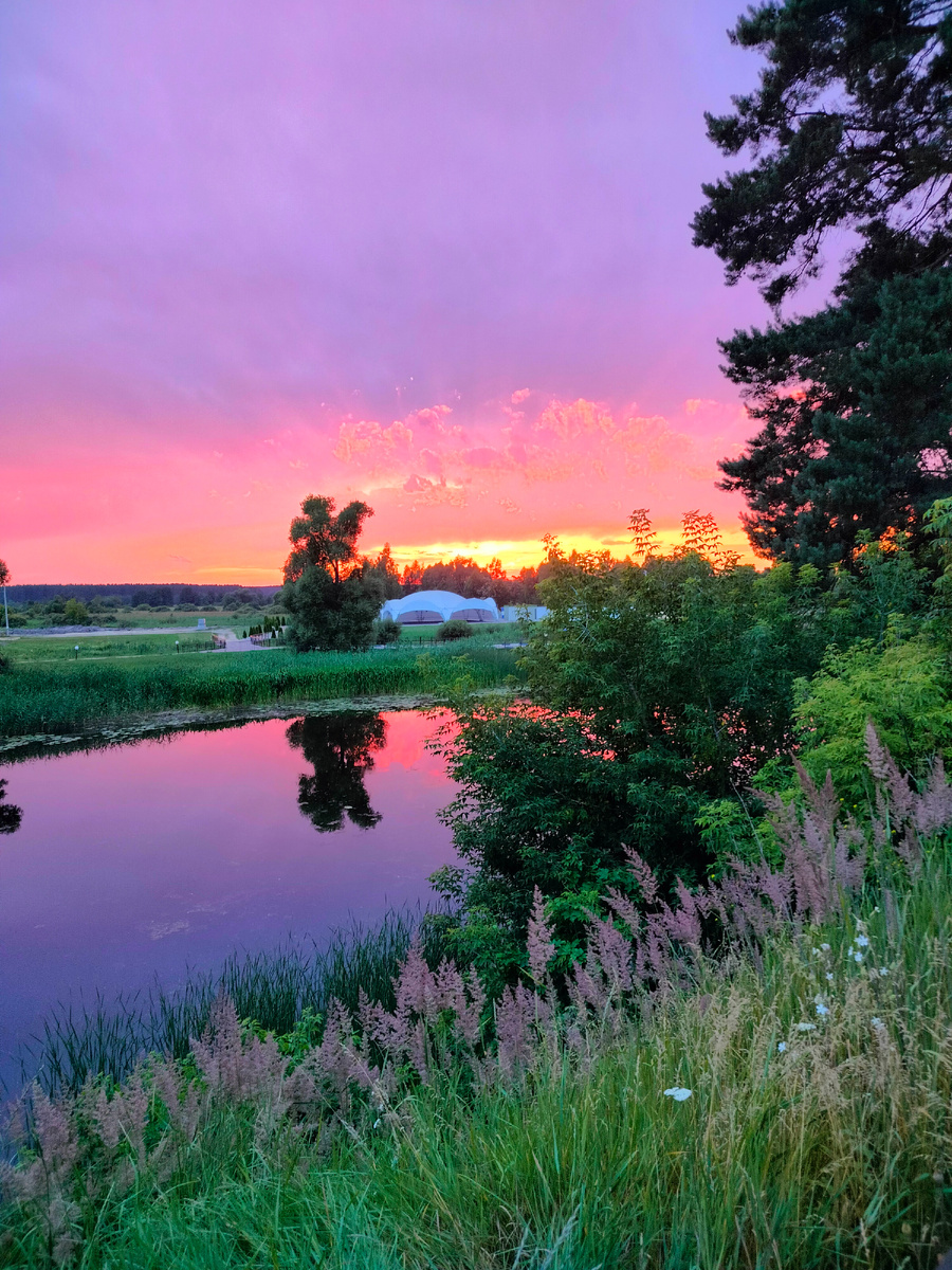 Виды нашего края)