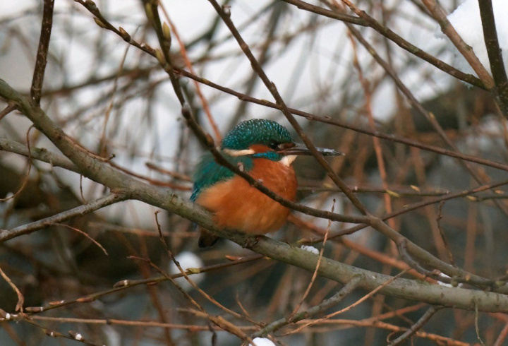 фото: t.me/kazdoytvaripopare