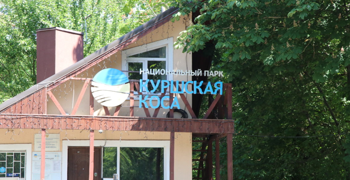    Фото: НИА "Экология"