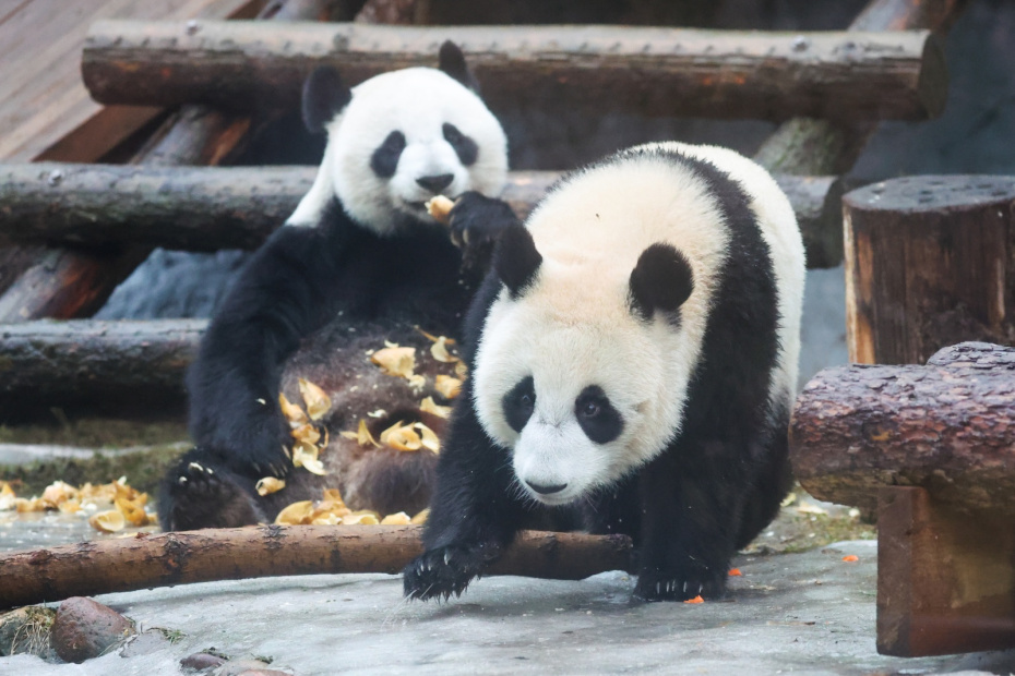    Алексей Белкин/NEWS.ru