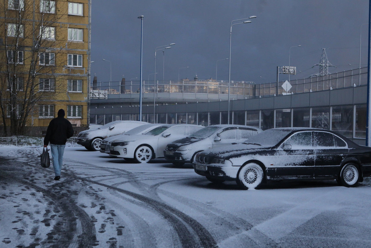 Роман Пименов / «Петербургский дневник»