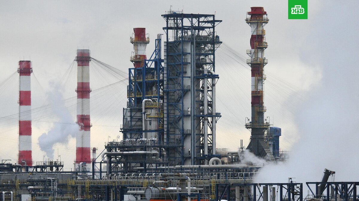    Фото: РИА Новости © 2026, Илья Питалев