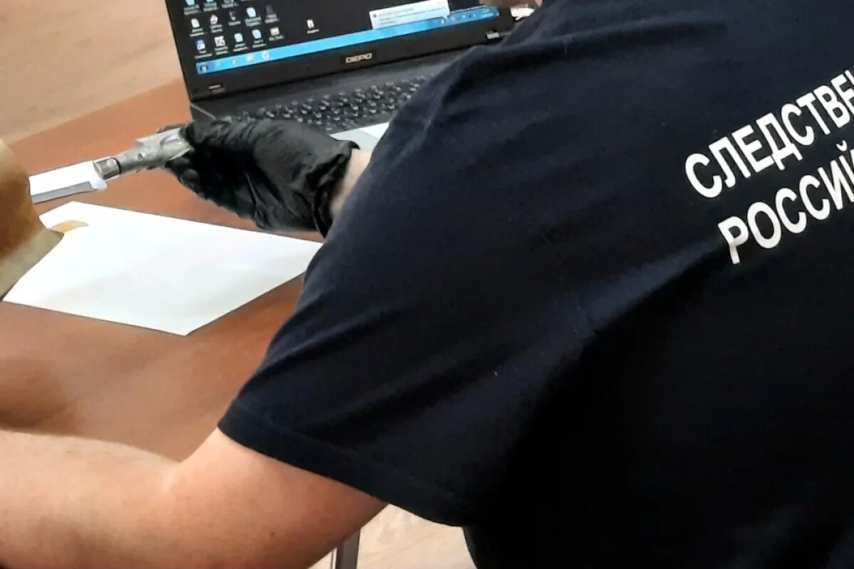    17-летний тамбовец обвиняется в убийстве матери ножом