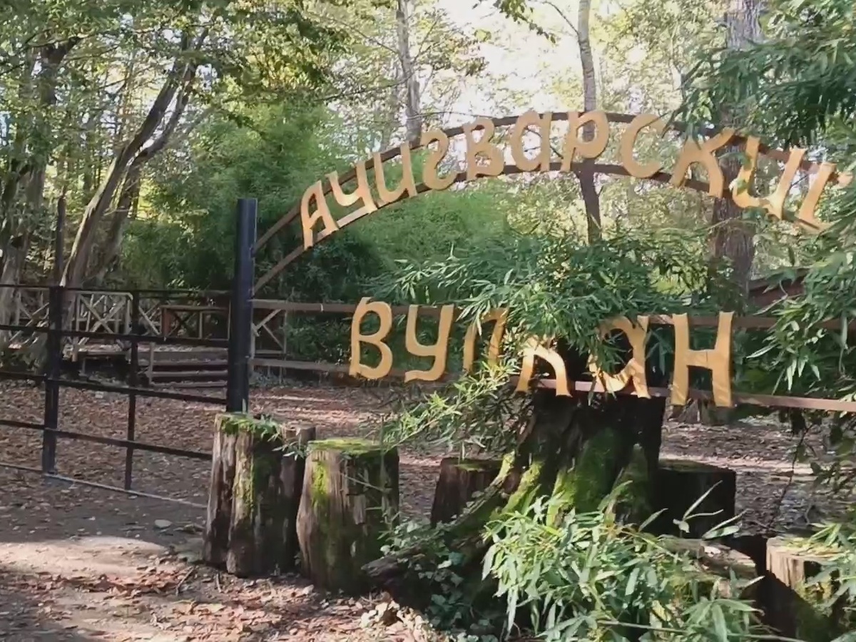 Адлер, Ачегварский грязевой вулкан, февраль 2025 года