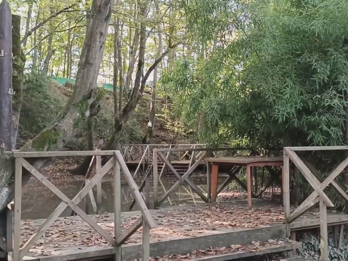 Адлер, Ачигварский грязевой вулкан