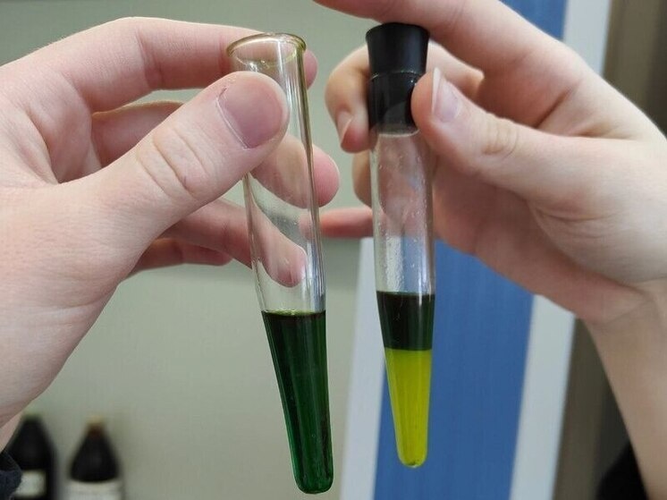     Быстрое выявление инфекции важно для контроля и предотвращения вспышек. Фото: архив МК в Питере