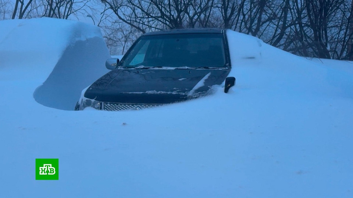    Камчатка утопает в сугробах выше человеческого роста