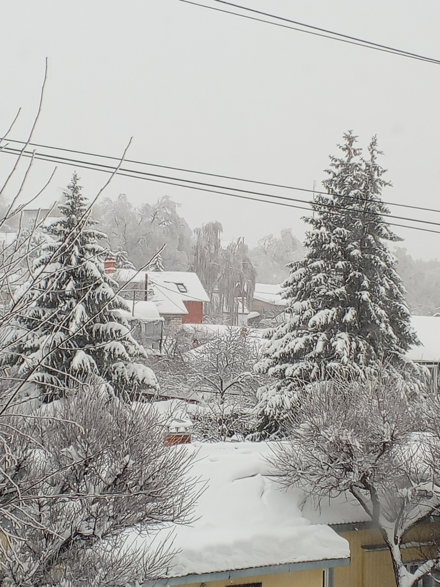 Фото автора канала.