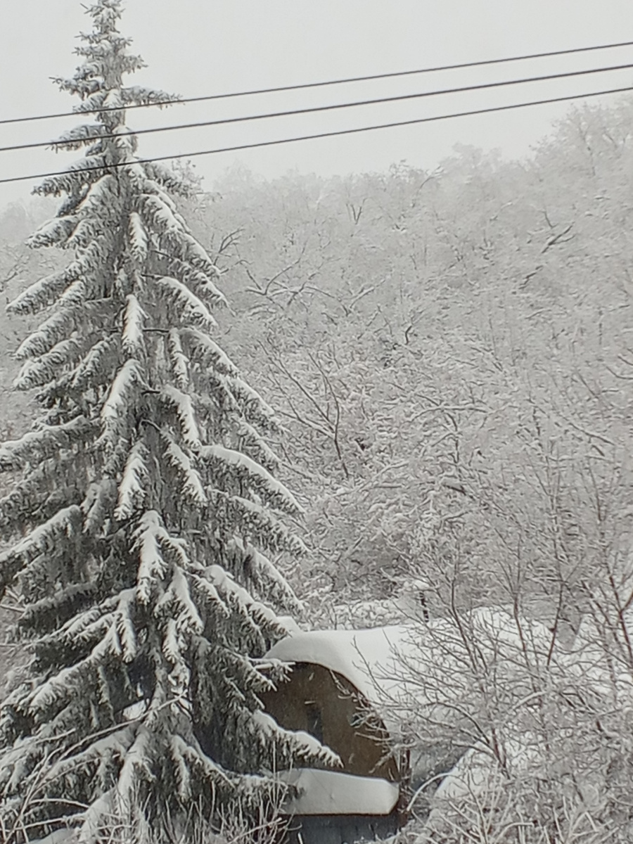 Фото автора канала.