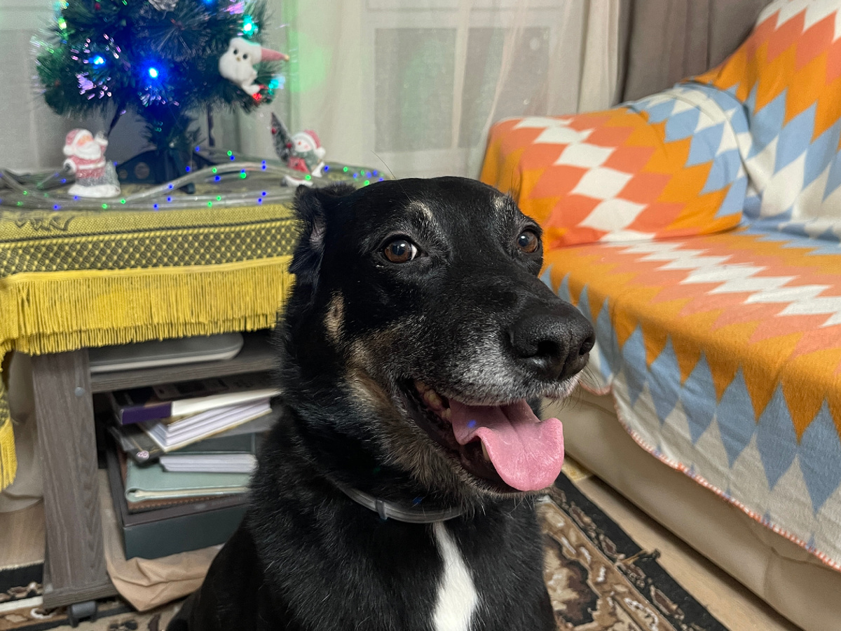 А я, к счастью, не такой большой 😅! Мне всего хватает! На жизнь не жалуюсь 😁!