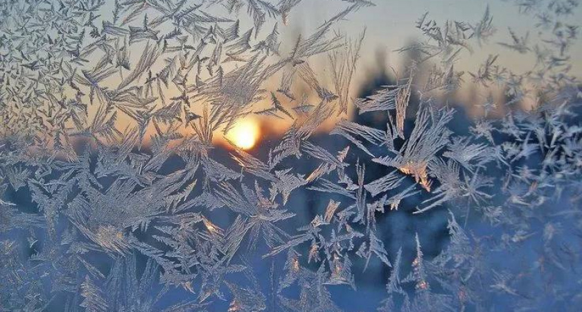    Фото: соцсети Максима Торопкина