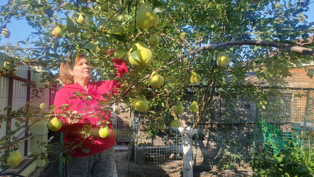 Вдали от города