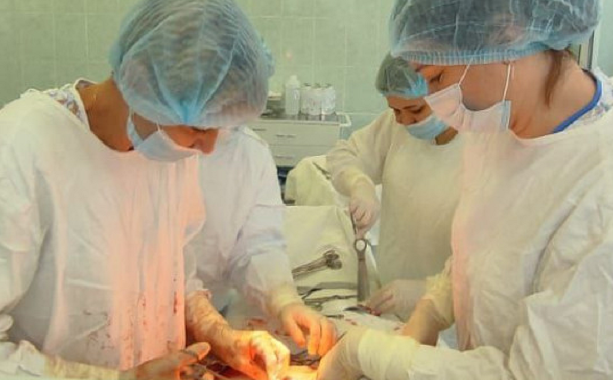 фото министерство здравоохранения Новосибирской области