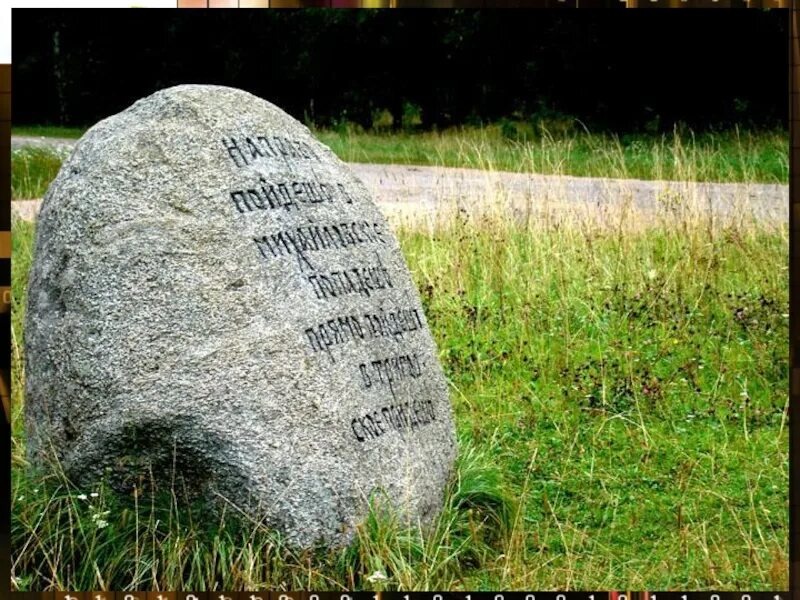 Картинка из интернета