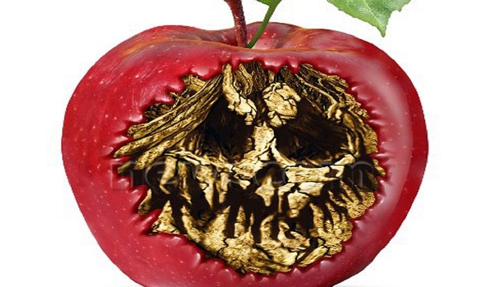    Химия на тарелке