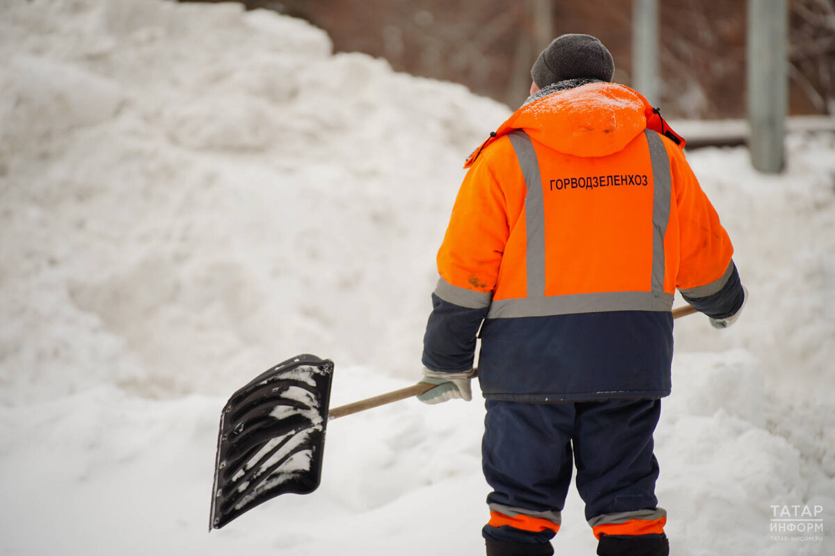 Фото: © Владимир Васильев / «Татар-информ»