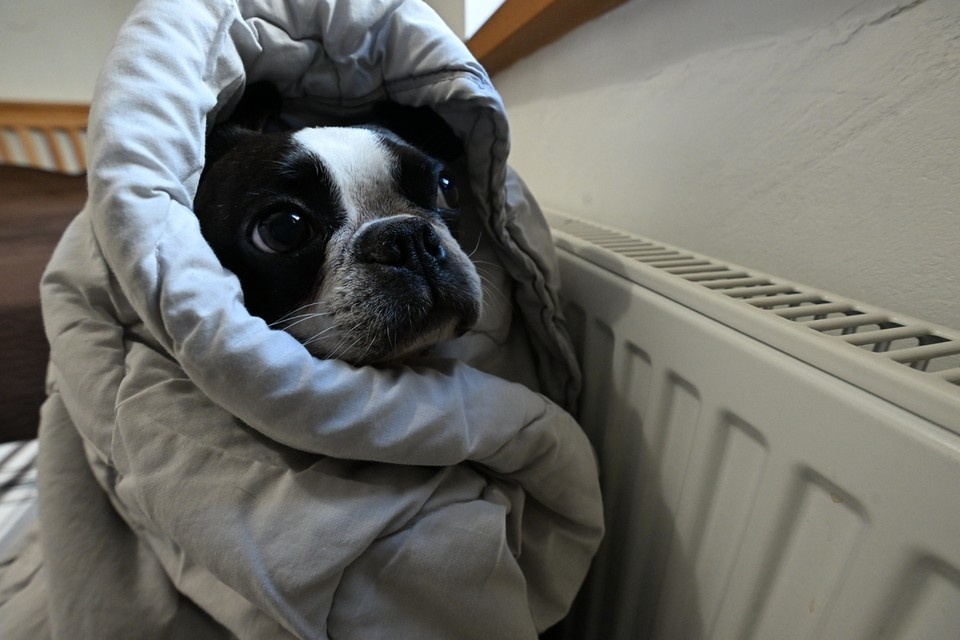    Новосибирцы жалуются на холод в квартирах. Евгения ГУСЕВА