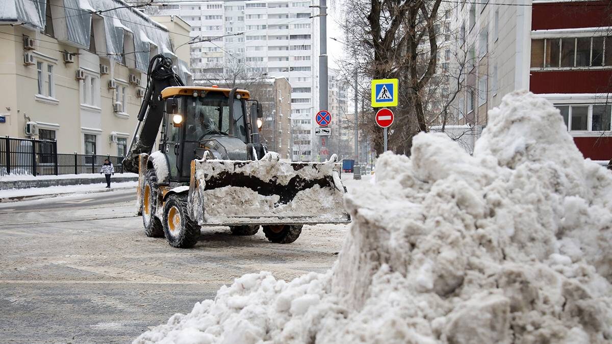    Фото: Артур Новосильцев / АГН Москва