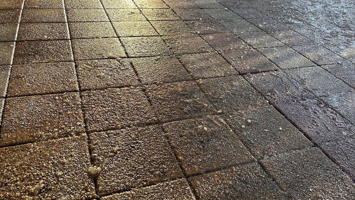    Фото: телеканал «Краснодар»