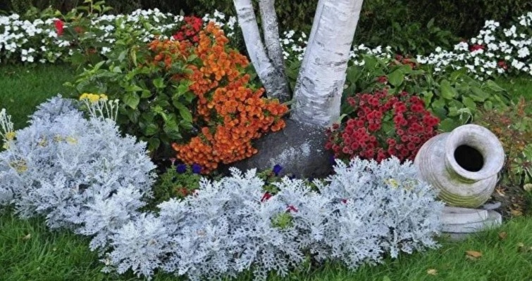 Яндекс. Картинки