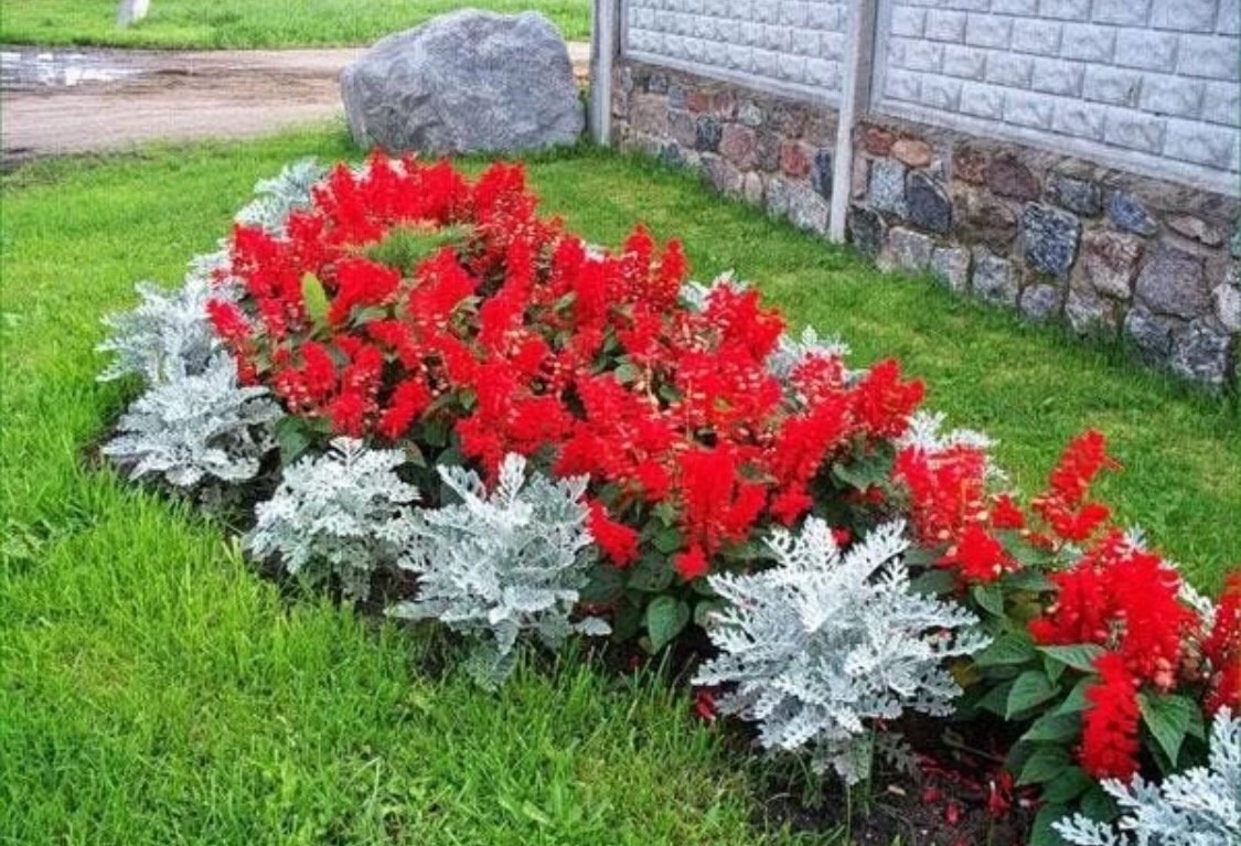 Яндекс. Картинки