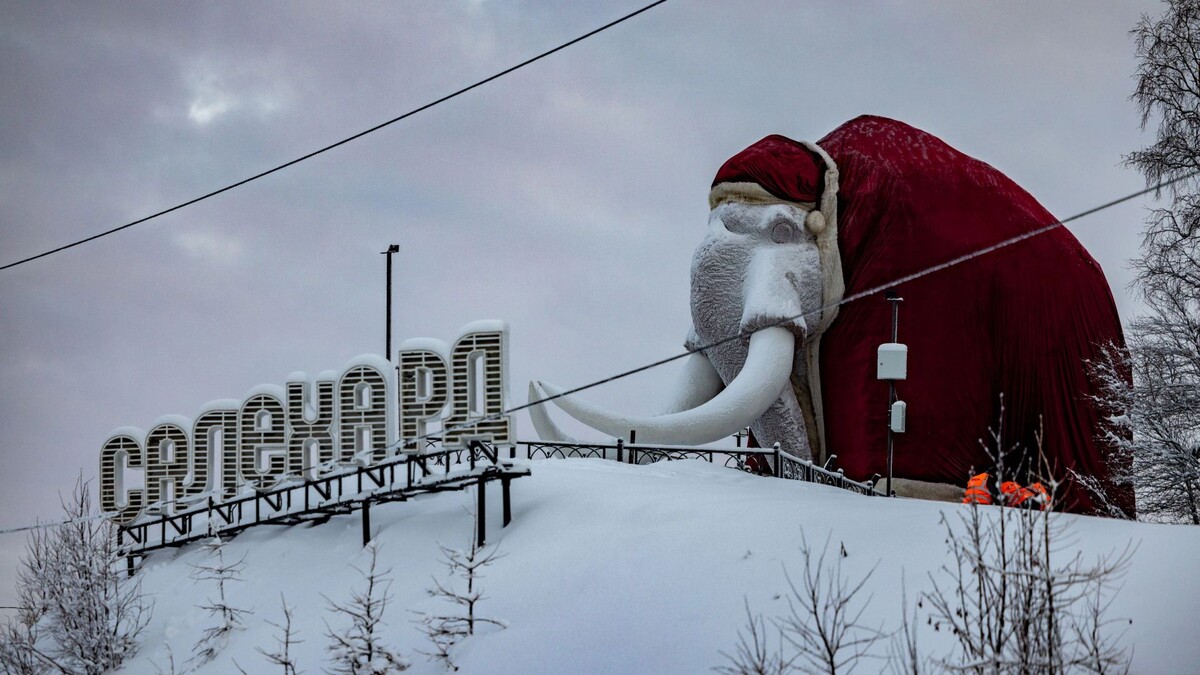    Фото: Сергей Зубков / «Ямал-Медиа»