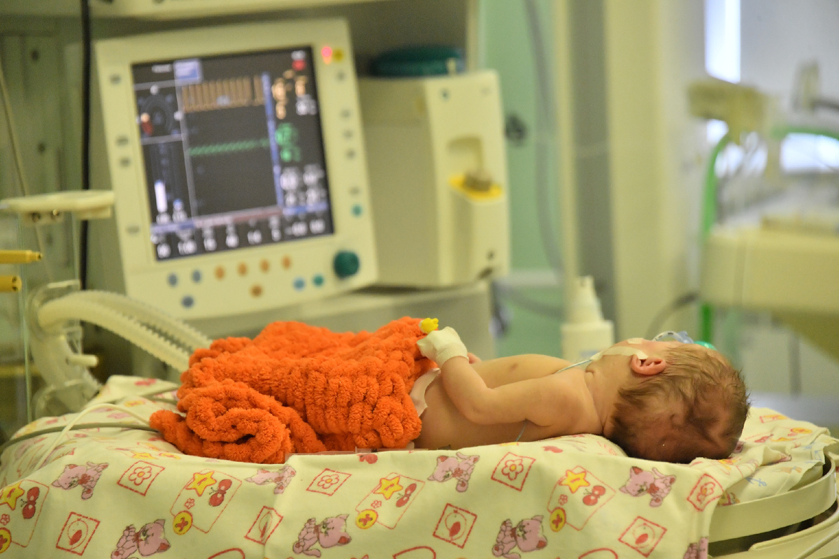 Фото: Владимир Веленгурин