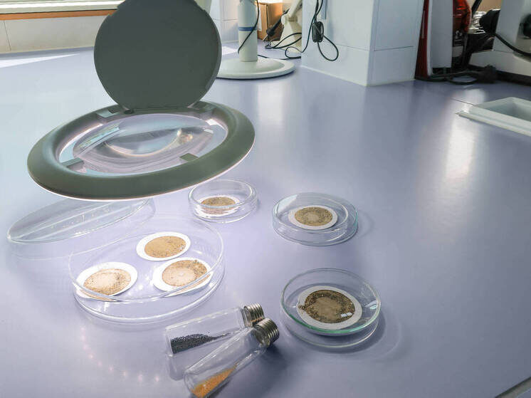     Фото: IMAGO/Oliver Langel, Duesseldorf/imago-images.de/Global Look Press