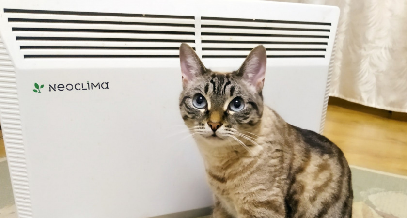    Фото prochepetsk