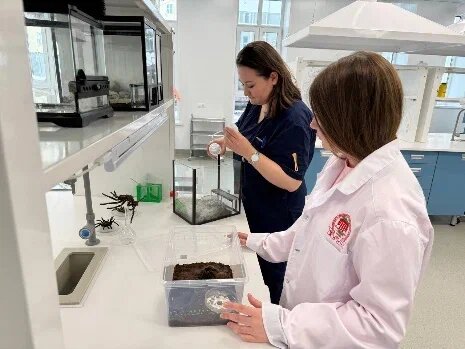 Ученые БГМУ создают технологии для долгой и активной жизни