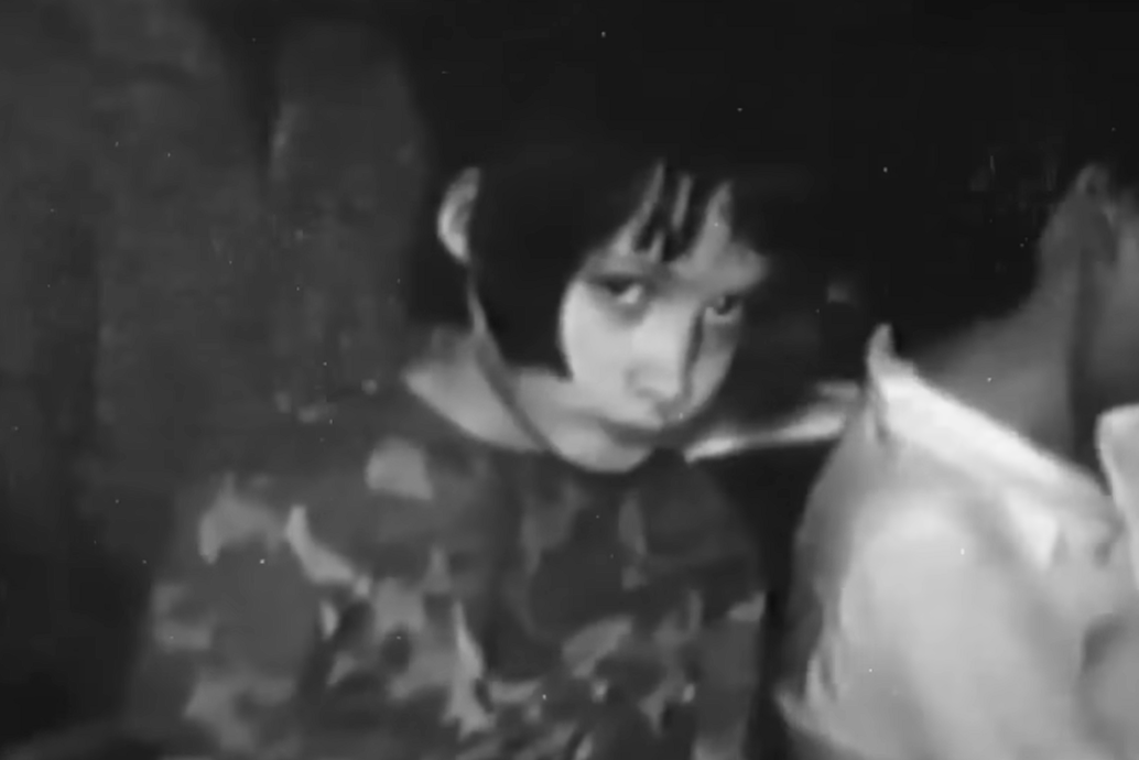 Джини Уайли. Скриншот видео YT "Armchair Invesigator"