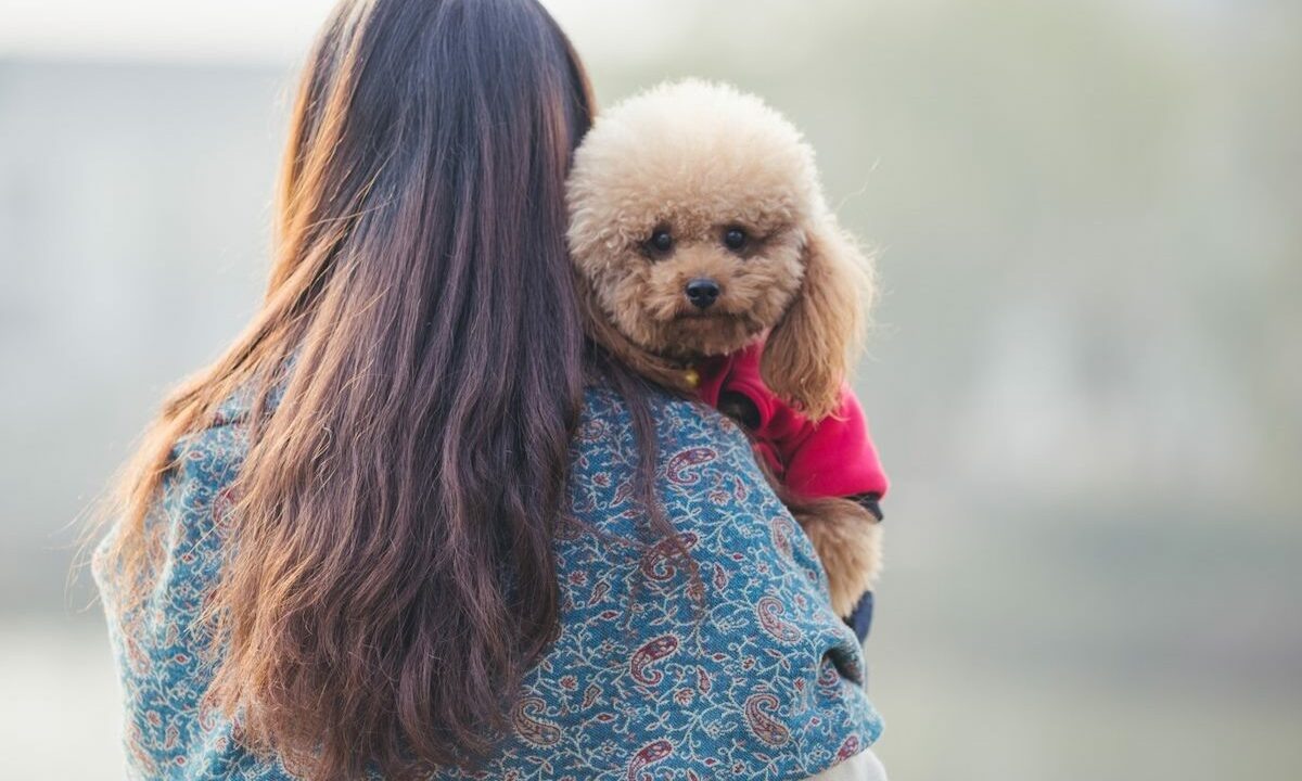    Фото freepik.com