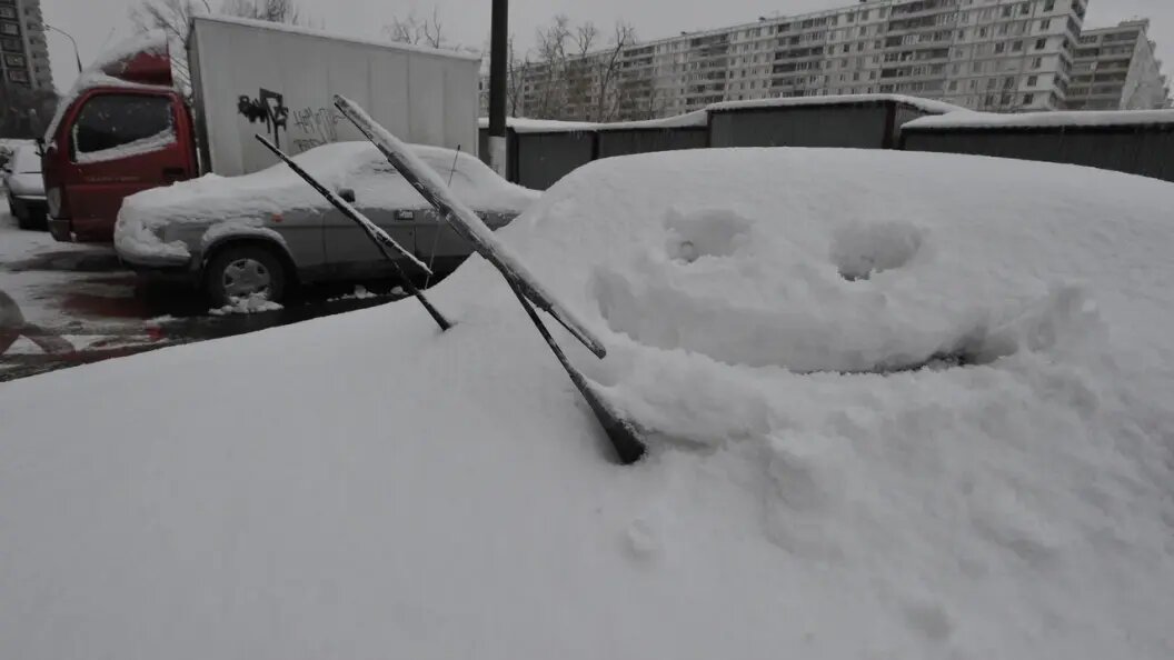    Фото: Олег Рукавицын/Царьград