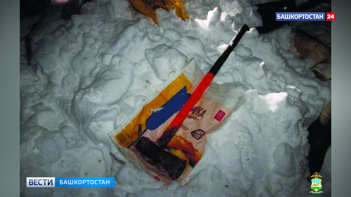    В Башкирии задержаны охотники, застрелившие чужую лошадь