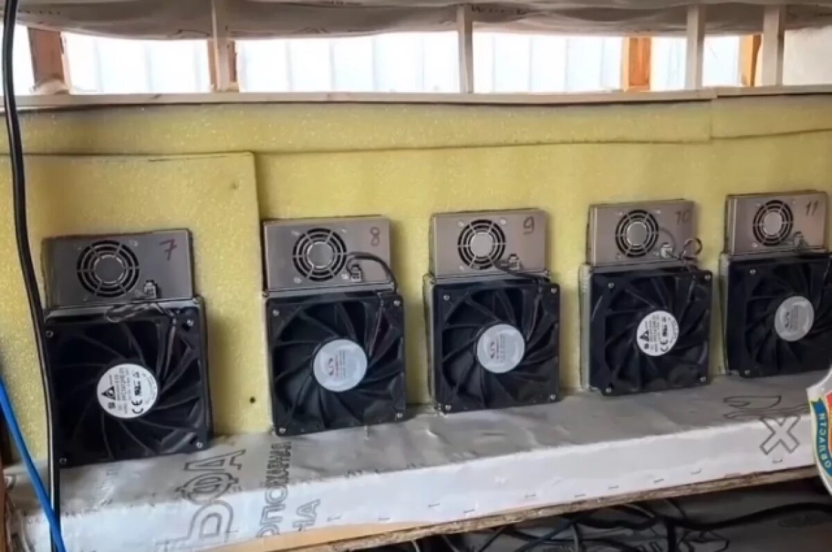    Появилось видео с нелегальной майнинговой фермы под Тверью