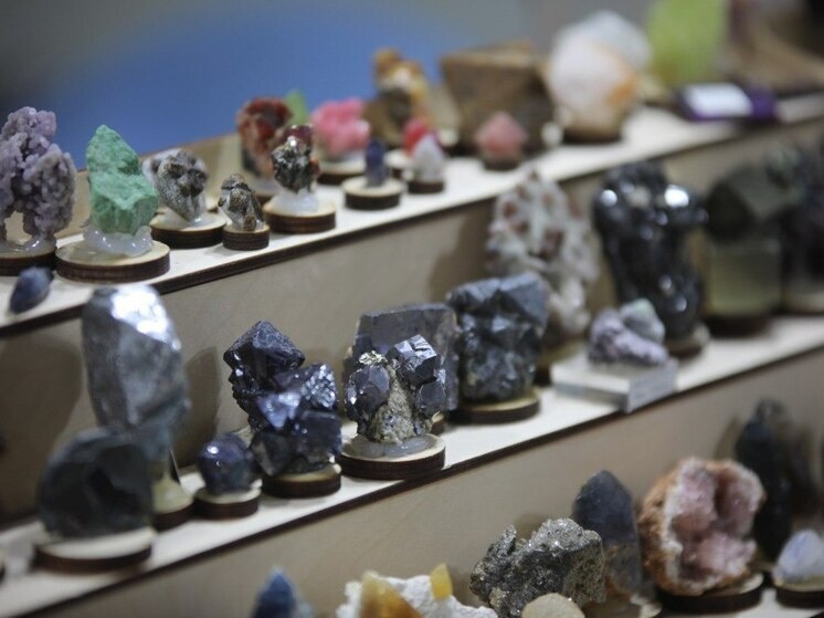     фото - пресс-служба Тульского музейного объединения