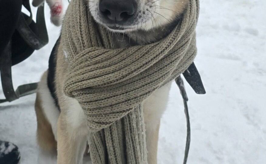 Жизнь спасли, но дом не дали❣️