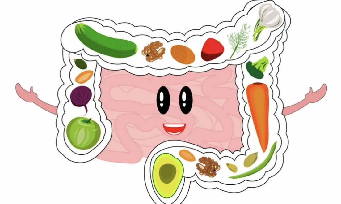 В дате нашего рождения заложено много интересной ценной информации. Вот, например, есть список продуктов, которые больше всего подходят именно вам. Это зависит от даты вашего рождения. Это те продукты, на которые каждый должен опираться при выборе своего ежедневного рациона. Но если вы ярко слышите свое тело и имеете высокую чувствительность, то эти продукты вы уже выбираете интуитивно на данный момент.