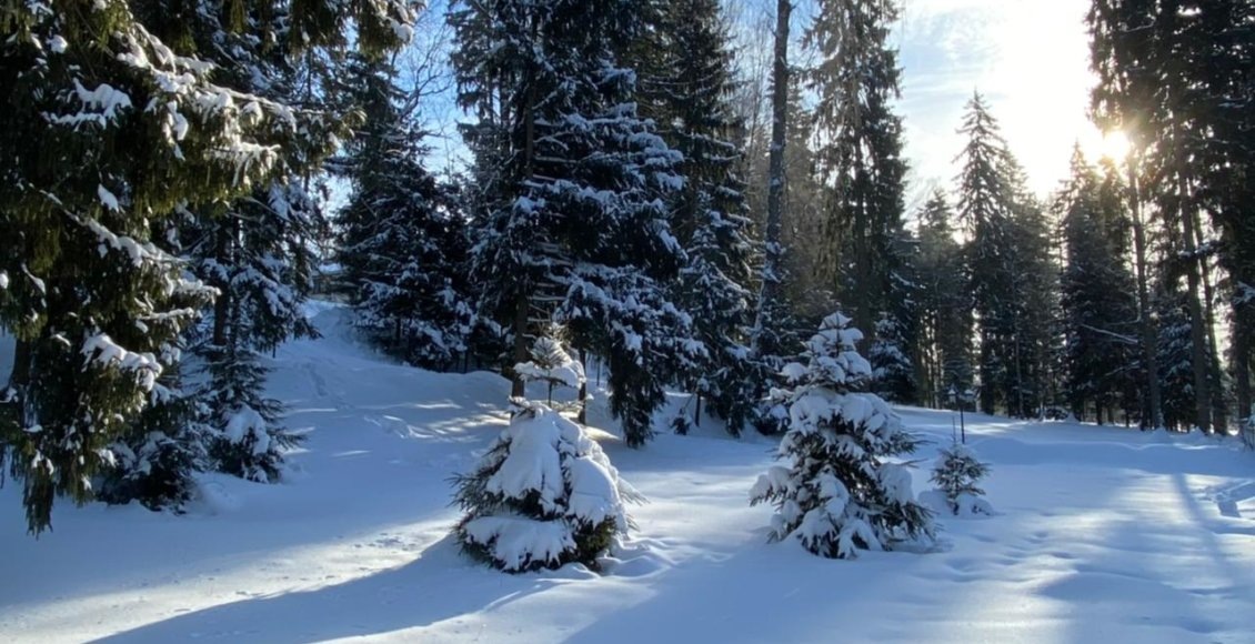    Фото: НИА "Экология"